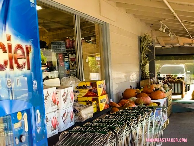 The Scream Grocery Store (1 of 1)