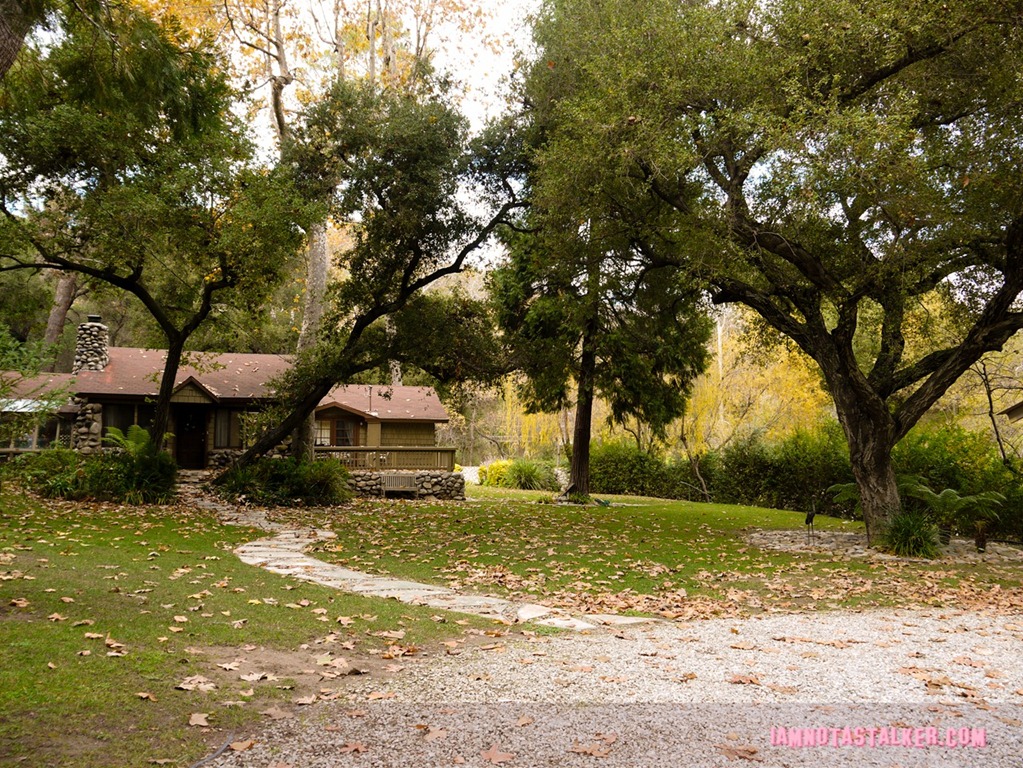Sissy Spacek's House Four Christmases (3 of 11)