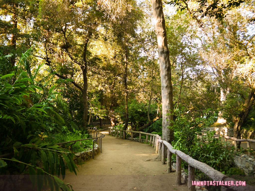 Fern Dell (4 of 32)