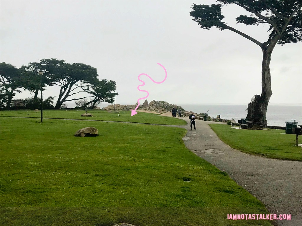 Blissful Drip Cafe from Big Little Lies (2 of 9)