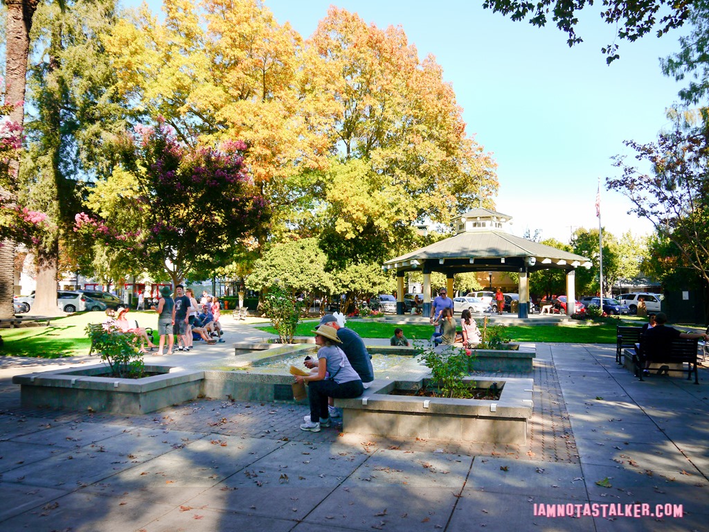 Healdsburg Town Plaza from Scream (15 of 20)