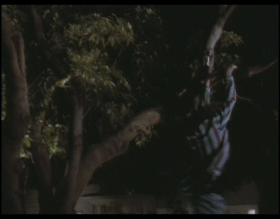 ScreenShot029