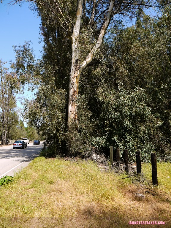L.A. Story freeway sign location (2 of 21)