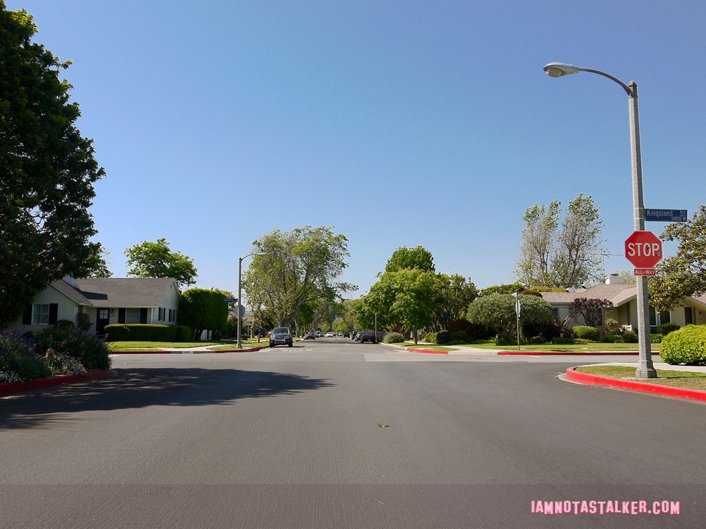 L.A. Story crash intersection (6 of 10)