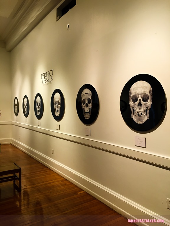 The Mutter Museum-5759