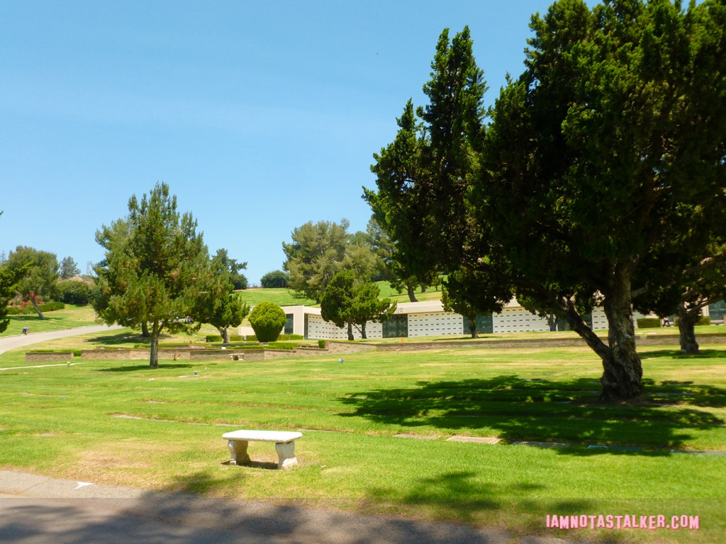 Don't Tell Mom the Babysitter's Dead Mortuary (15 of 21)