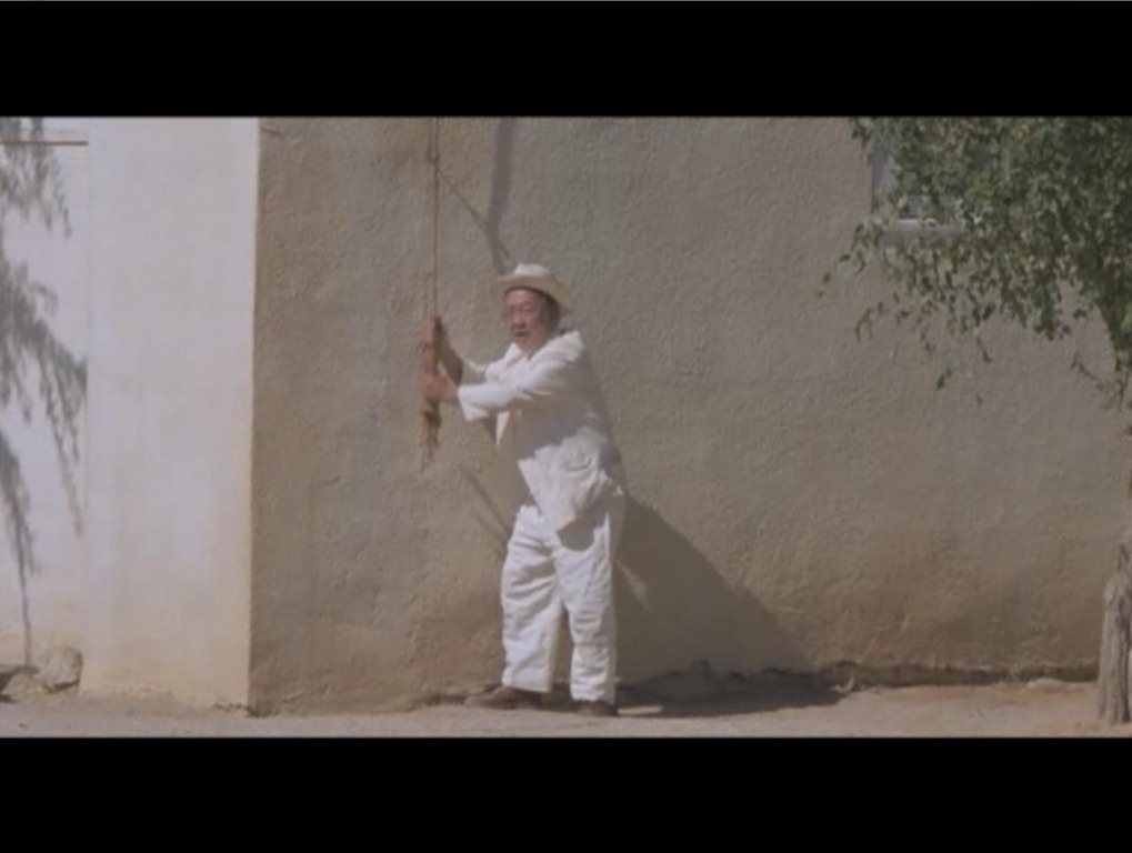 ScreenCap191