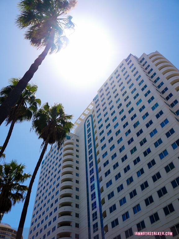 Harbor Place Tower from The Craft-1150467