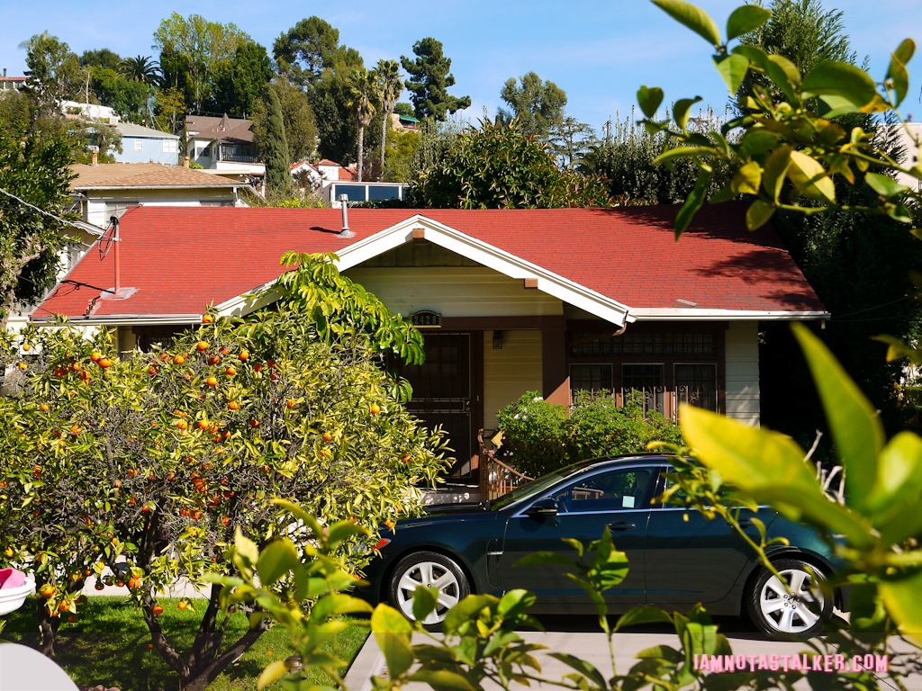 Peg Entwhistle's House (2 of 12)