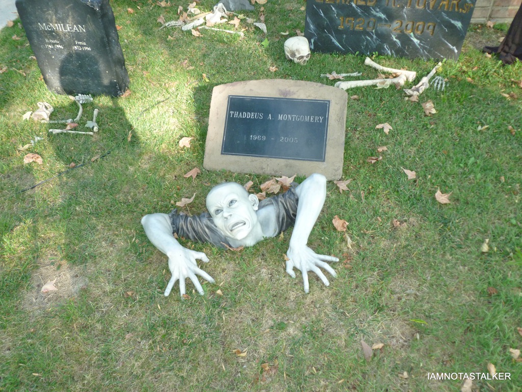P1010571