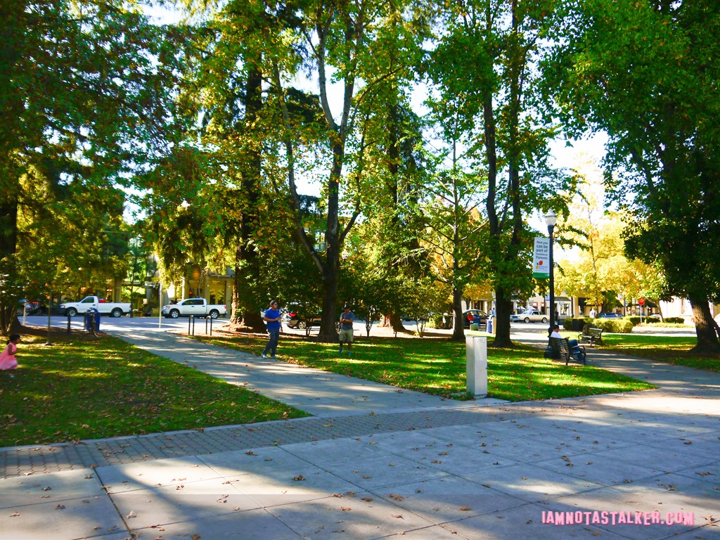 Healdsburg Town Plaza from Scream (12 of 20)