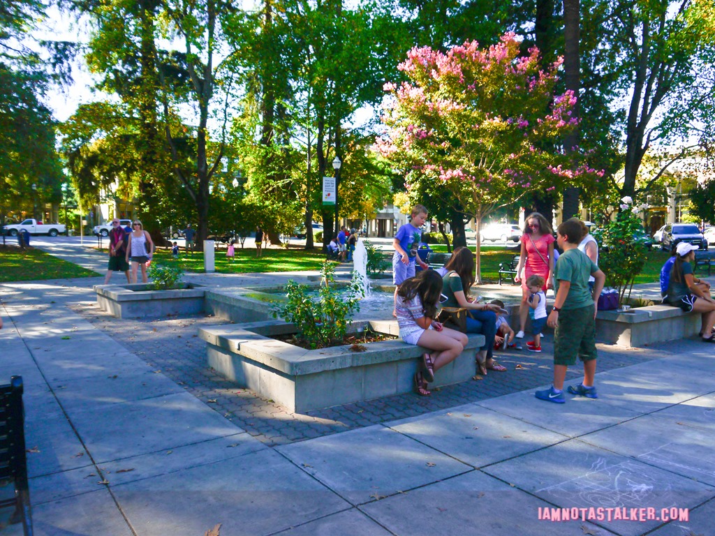 Healdsburg Town Plaza from Scream (7 of 20)