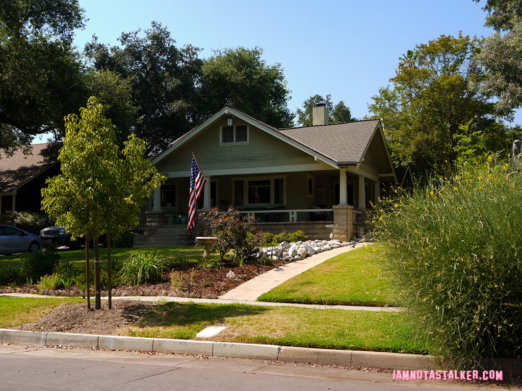 Must Love Dogs House (1 of 11)