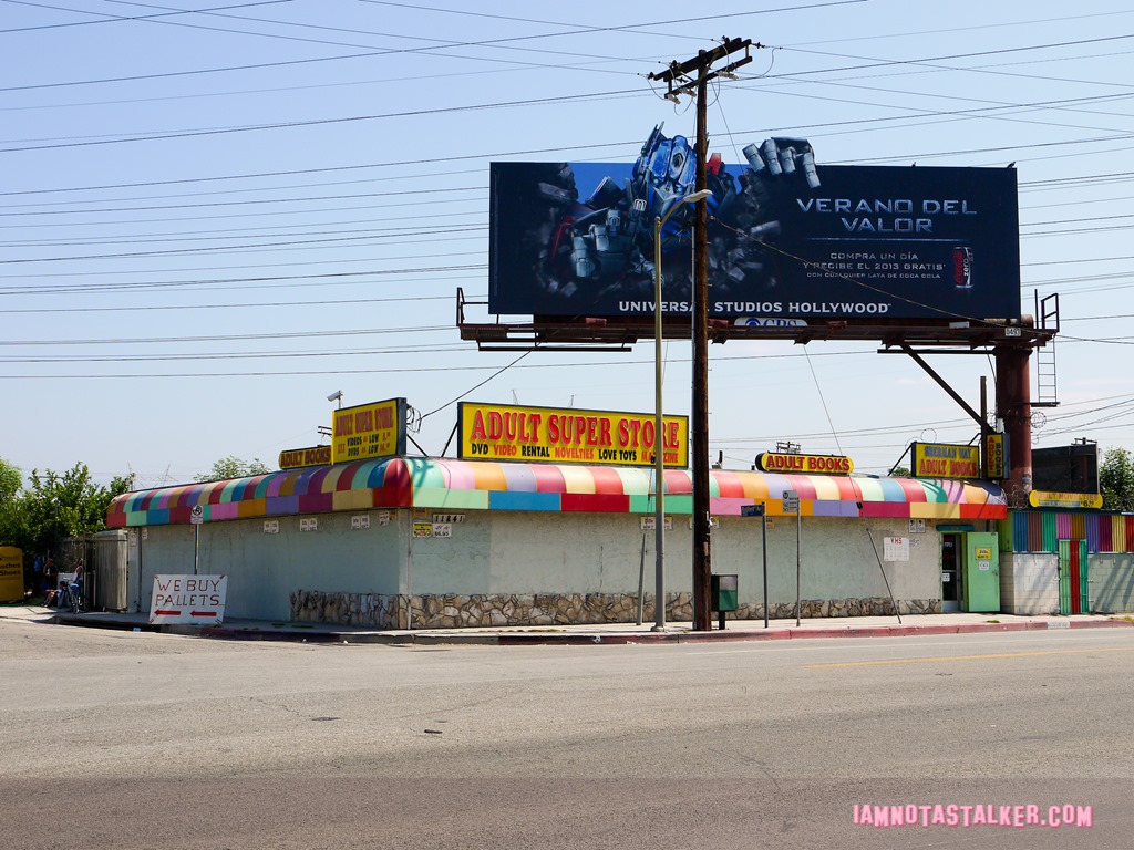 Behind the Candelabra Adult Bookstore (7 of 17)