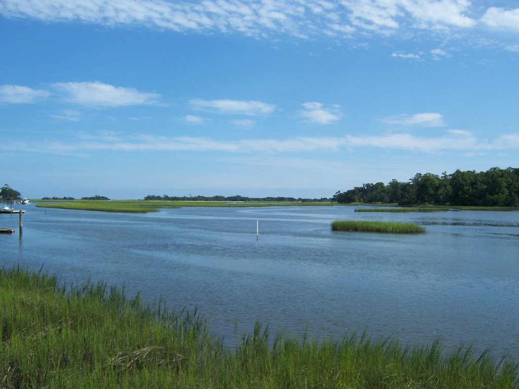 The Creek
