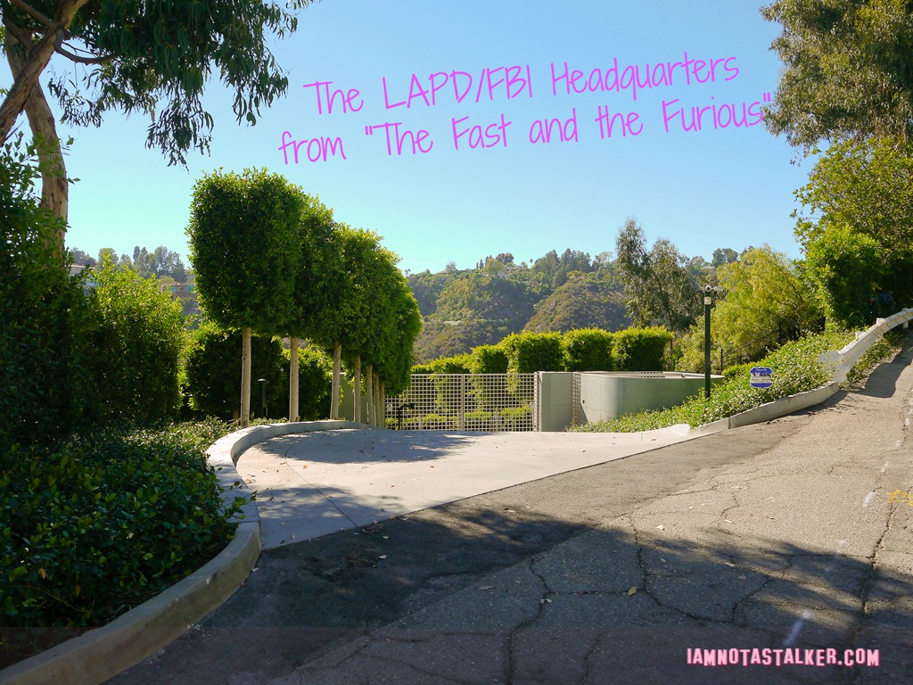 Fast and the Furious-Hanging Up House (5 of 6)