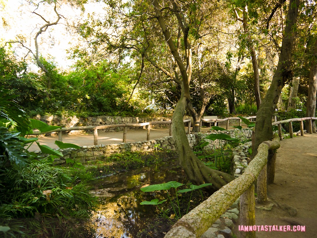 Fern Dell (9 of 32)