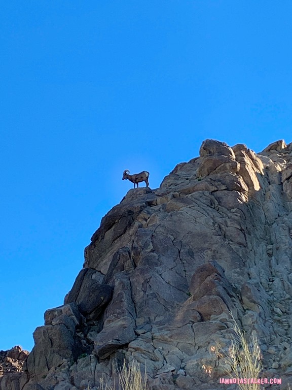 The Living Desert (1 of 3)