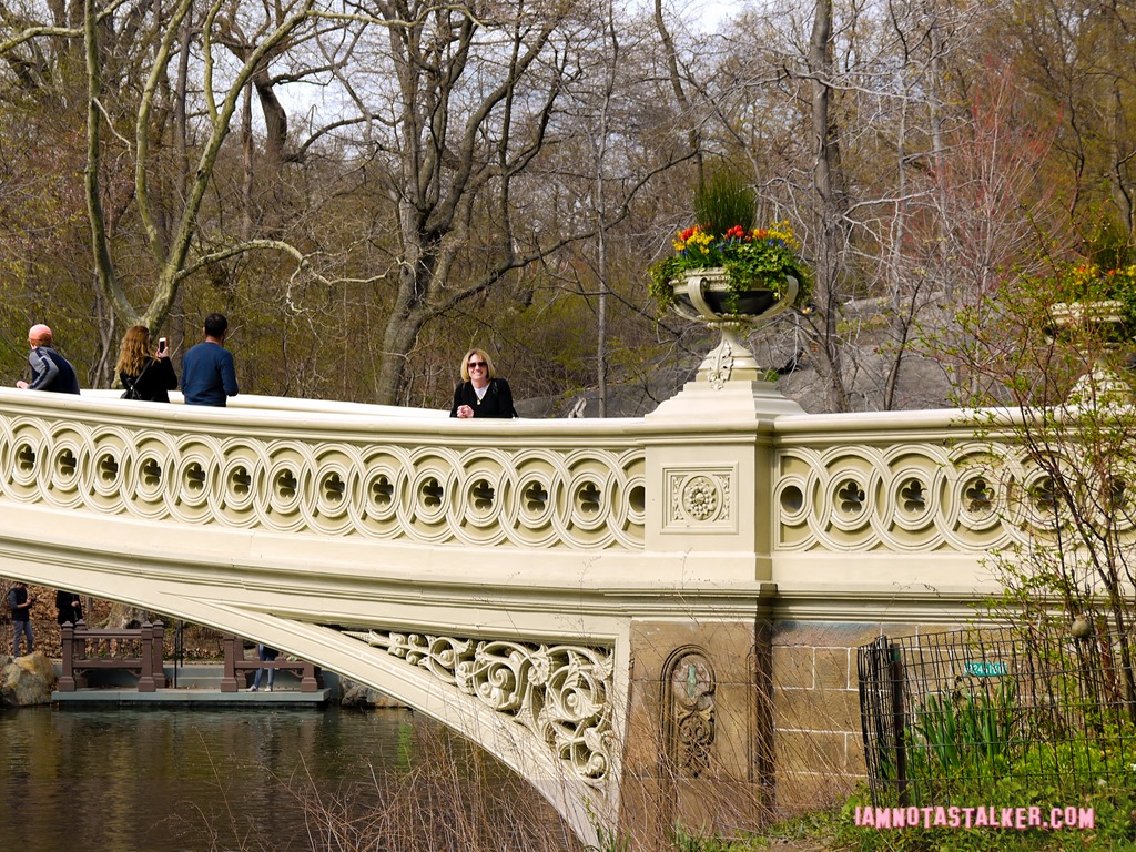 Bow Bridge from Glee-1140170