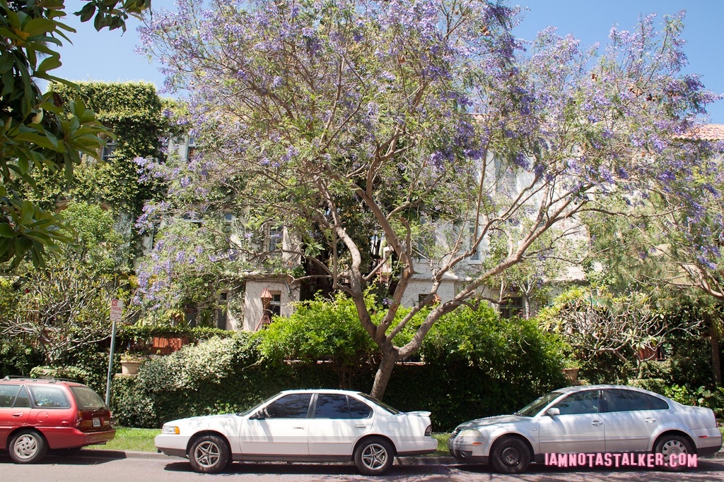 BoysNextDoorApartment-2020