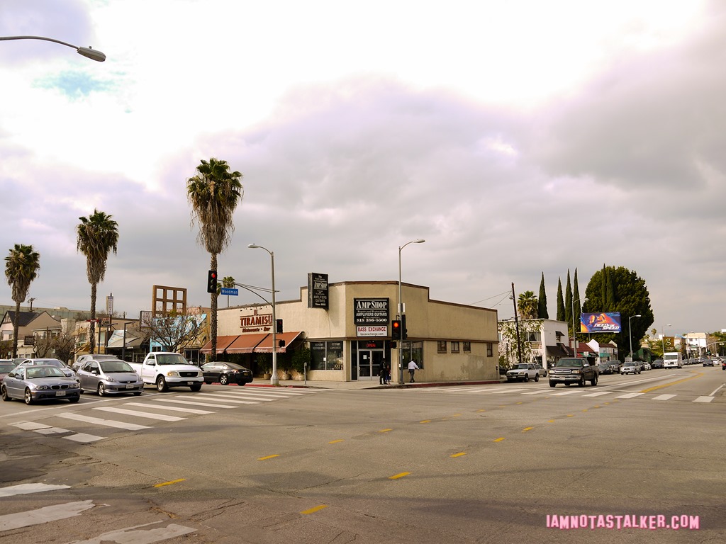 Brady Bunch ice cream shop (1 of 12)