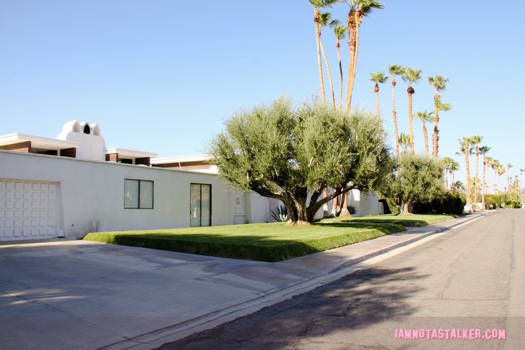 That Pink Door Palm Springs (2 of 21)