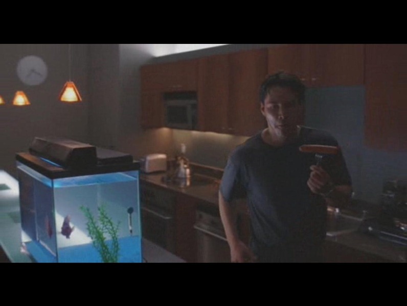 ScreenShot5254