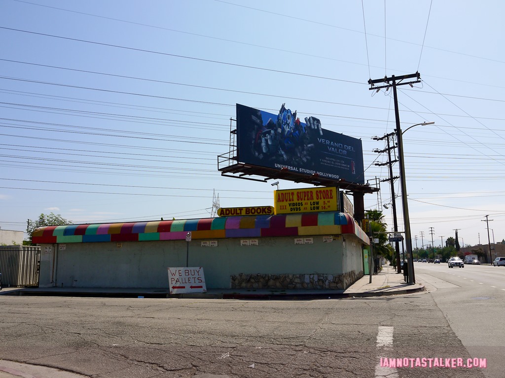 Behind the Candelabra Adult Bookstore (2 of 17)