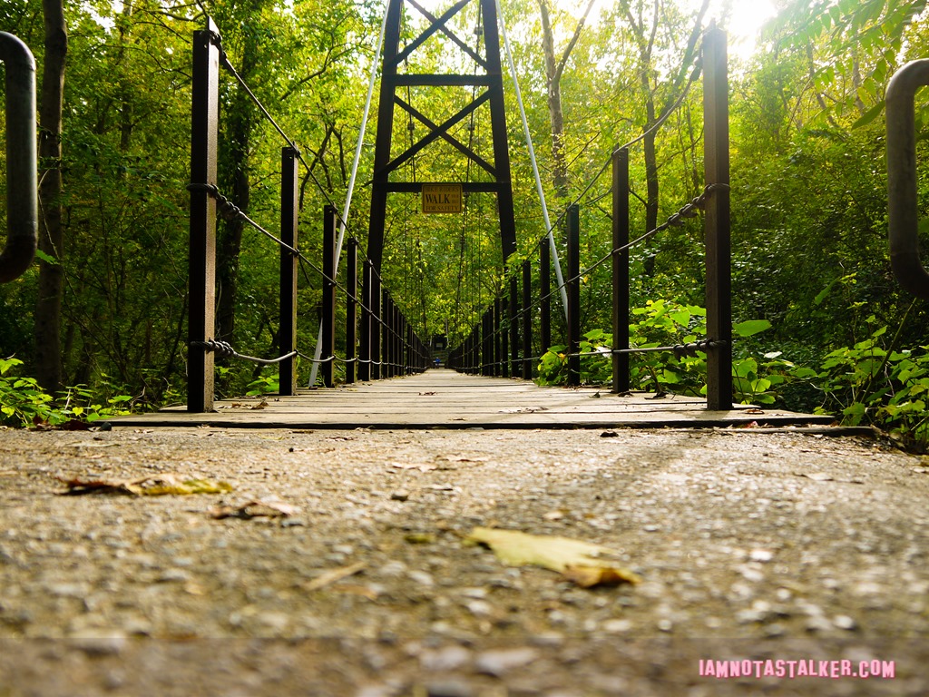 Patapsco Valley State Park from Serial-1170457