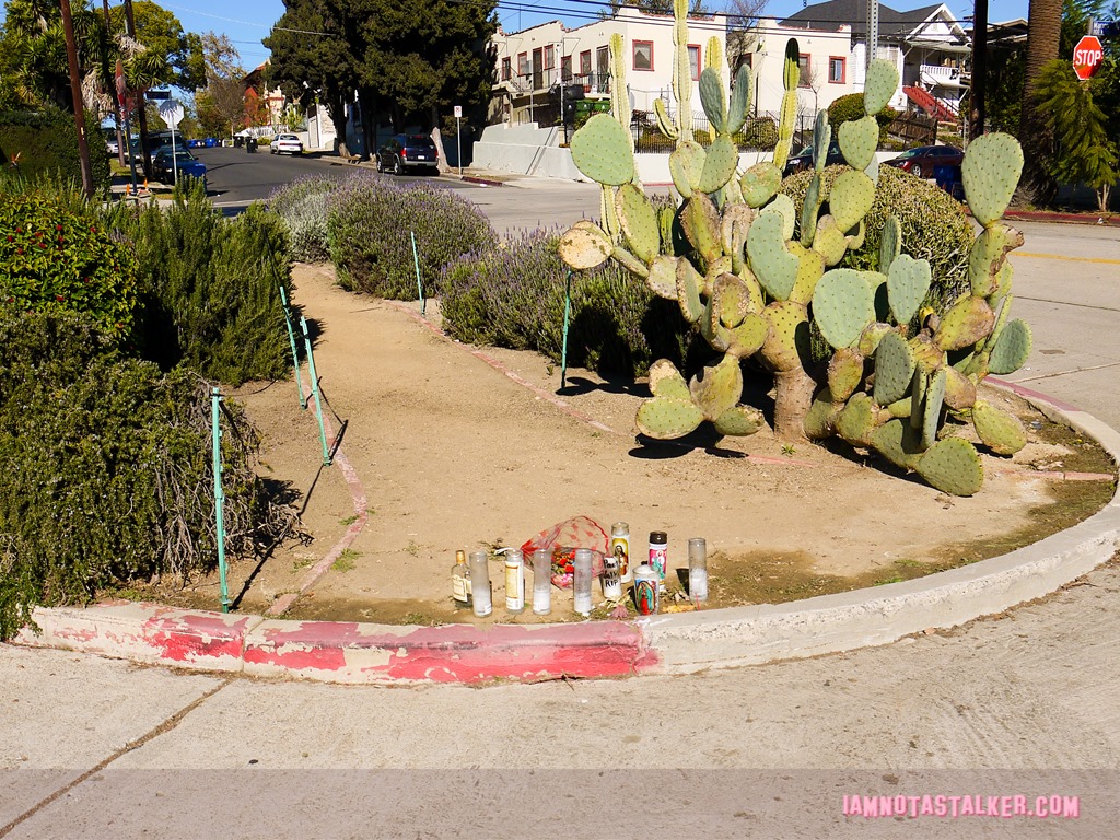 Bob's Market Echo Park (6 of 15)