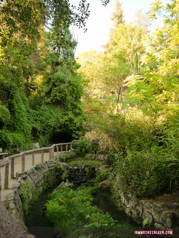 Fern Dell (22 of 32)