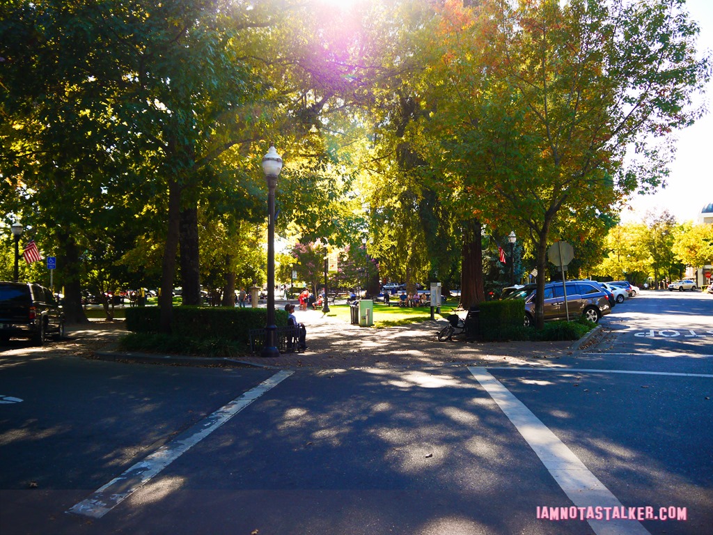 Healdsburg Town Plaza from Scream (17 of 20)