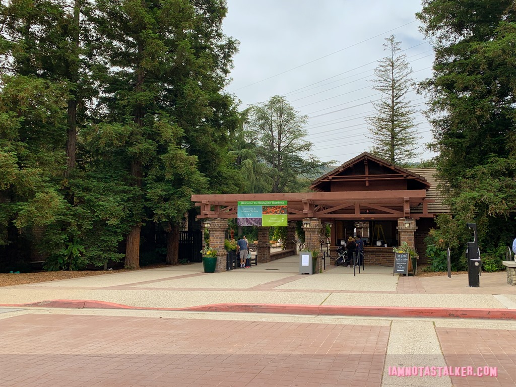Cafe Descanso from Big Little Lies (2 of 2)