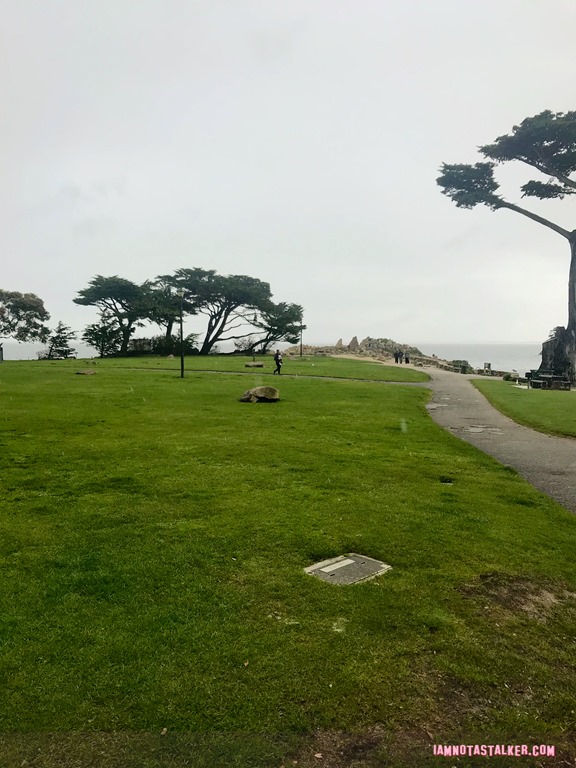 Blissful Drip Cafe from Big Little Lies (1 of 9)