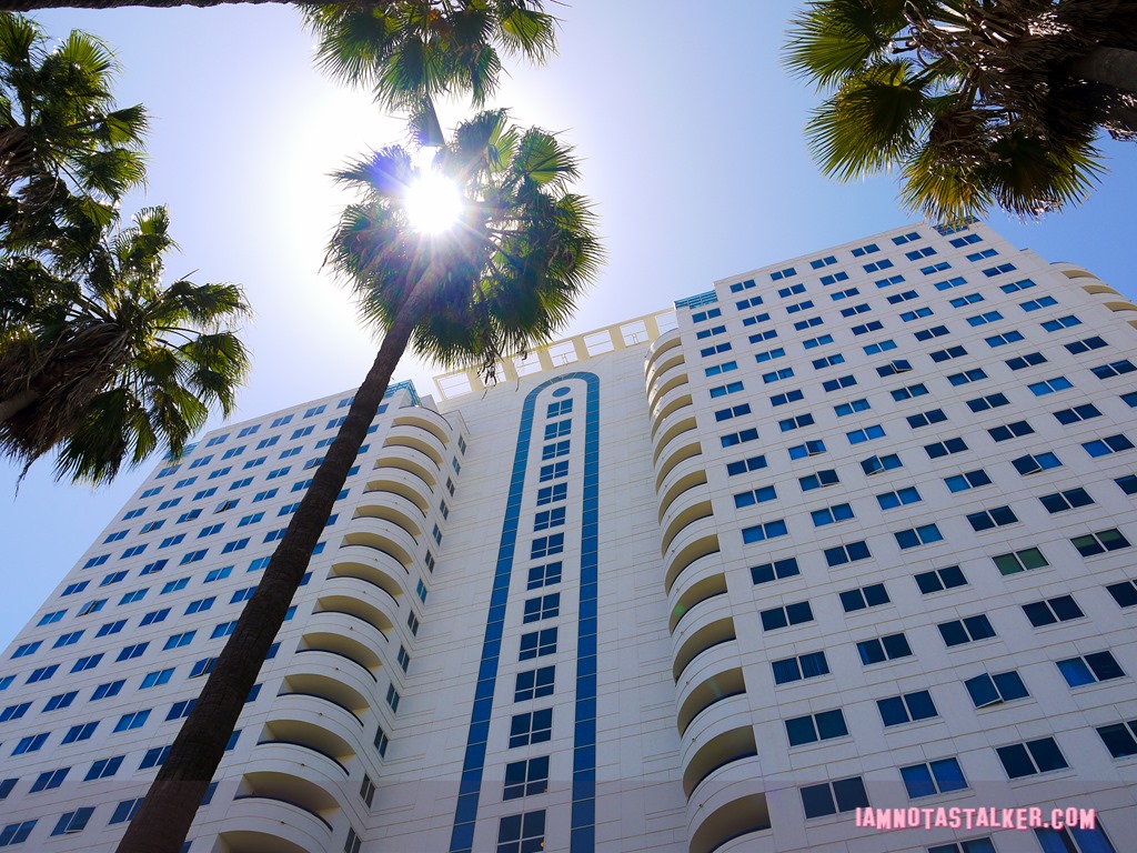 Harbor Place Tower from The Craft-1150472