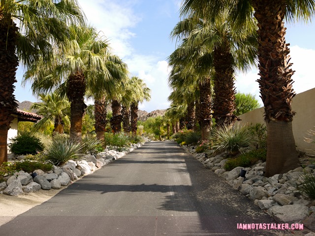 Bing Crosby House Palm Springs (8 of 16)