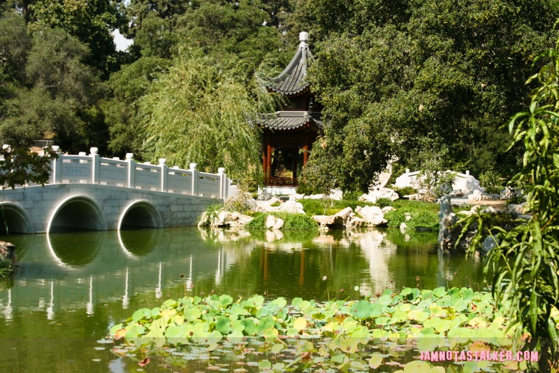 The Hungtington Pasadena (2 of 2)