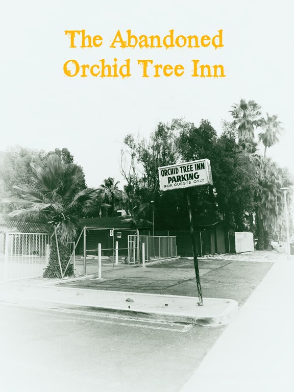 The Orchid Tree Inn Palm Springs (40 of 49)
