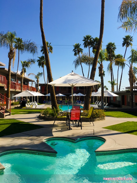 Skylark Hotel from Palm Swings-6535