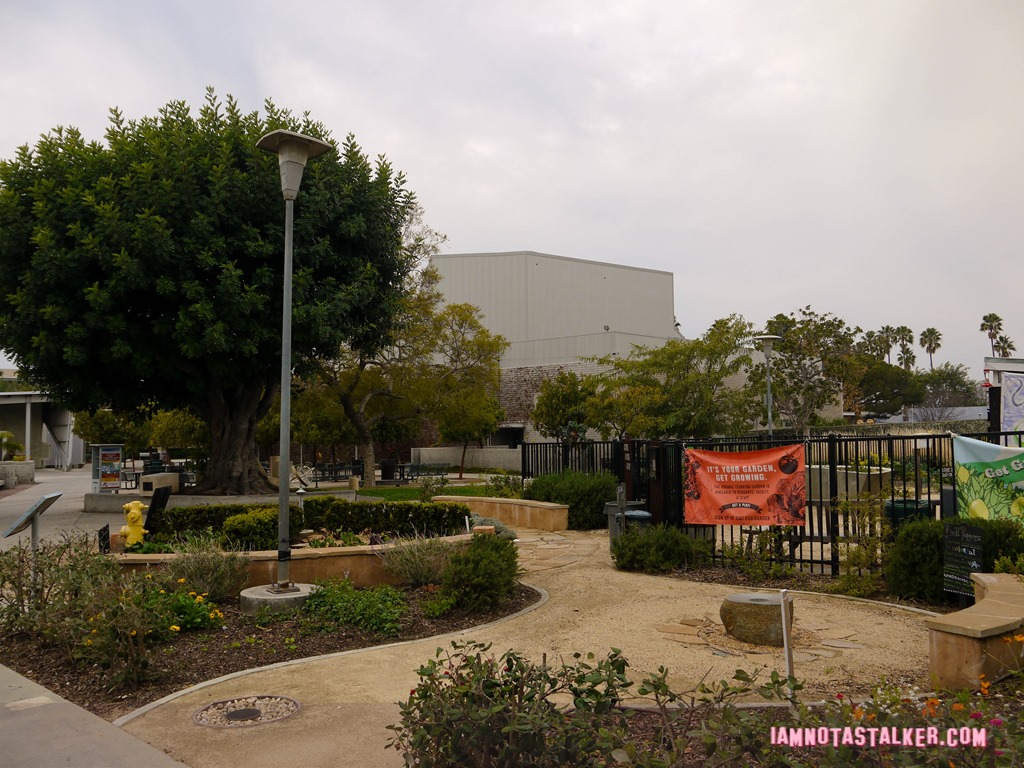 The Say Anything Amphitheatre-19
