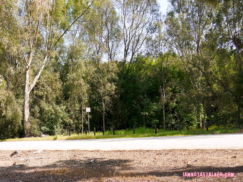 L.A. Story freeway sign location (21 of 21)