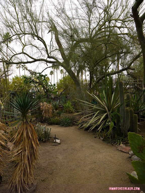 Moorten Botanical Garden from Rescue 911-1130116