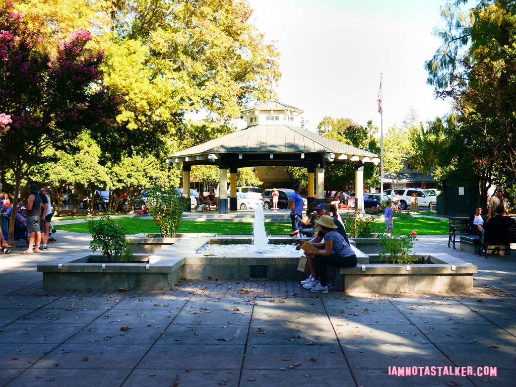 Healdsburg Town Plaza from Scream (14 of 20)