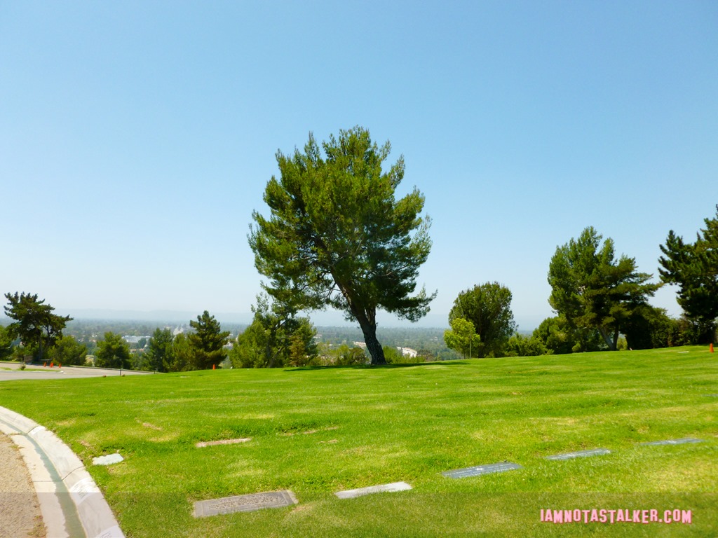 Don't Tell Mom the Babysitter's Dead Mortuary (16 of 21)