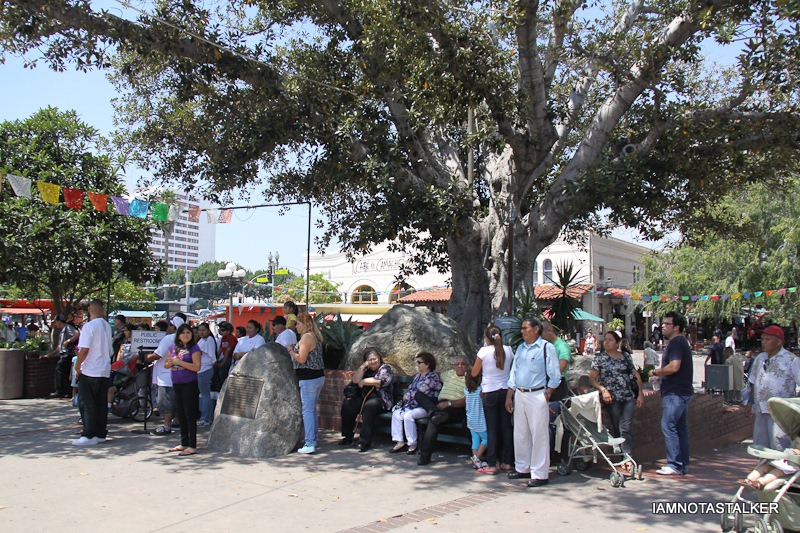 90210-cabo-olivera-street-7