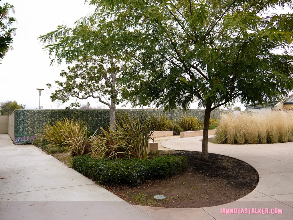 The Say Anything Amphitheatre-6