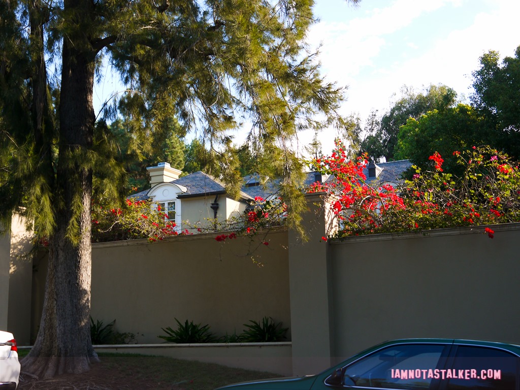 License to Drive Party House (7 of 12)