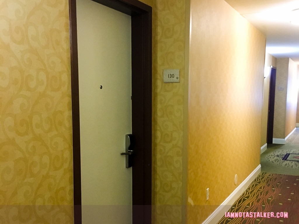 Hilton Garden Inn from Veep-3737