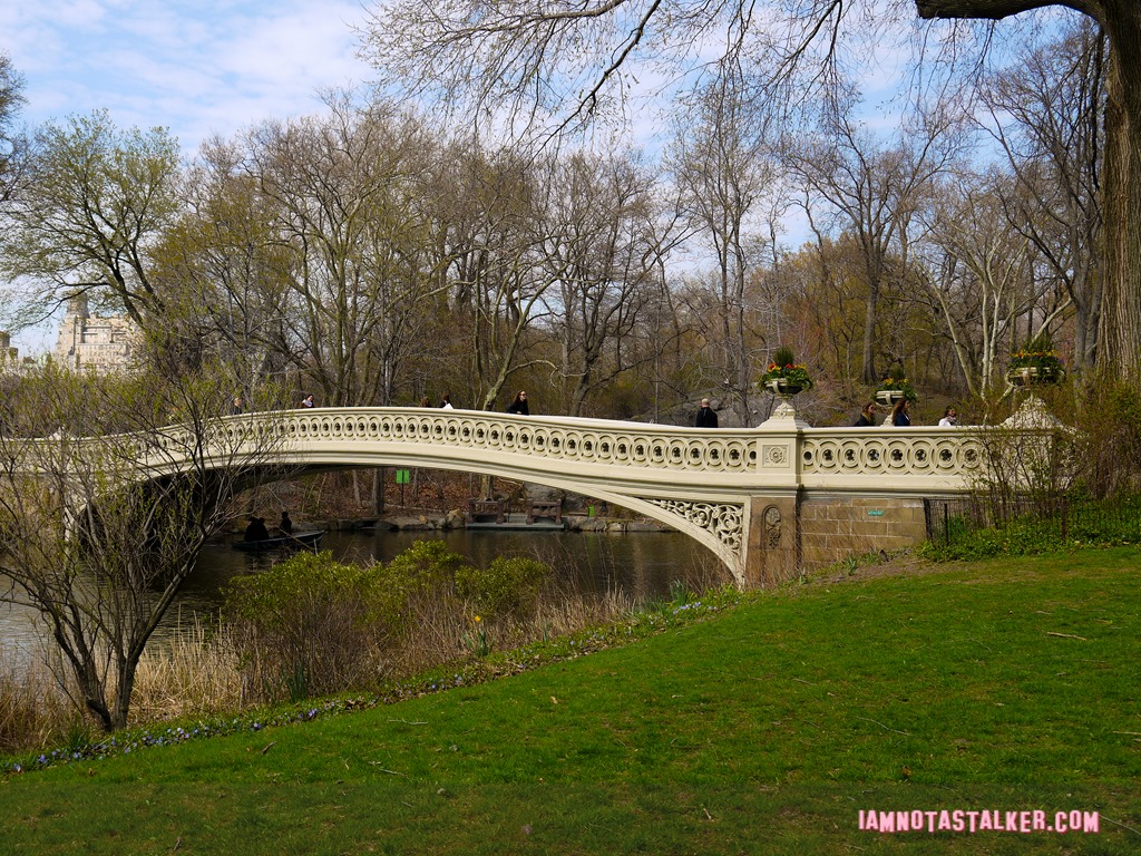 Bow Bridge from Glee-1140159