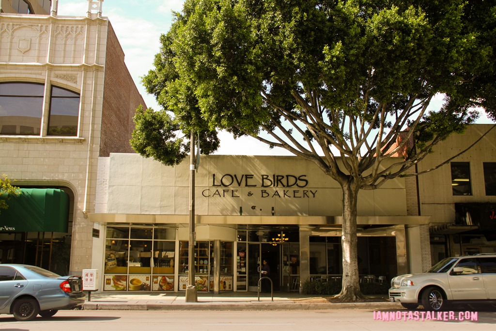 Love Birds Cafe (1 of 2)
